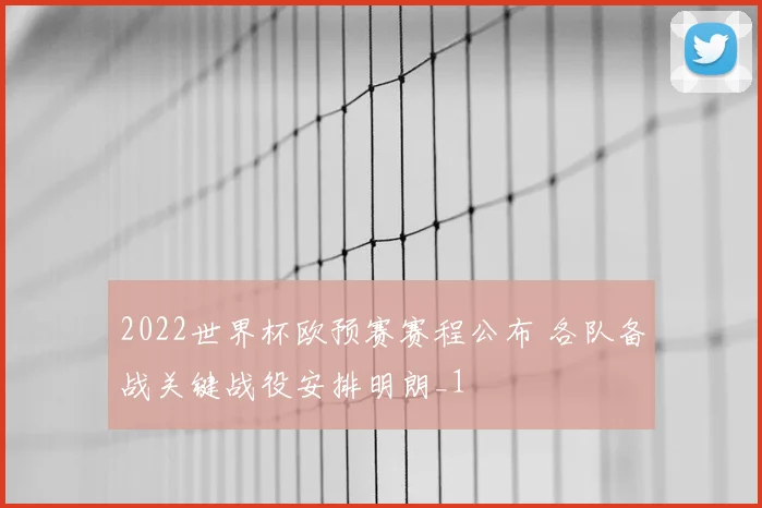 2022世界杯欧预赛赛程公布 各队备战关键战役安排明朗_1
