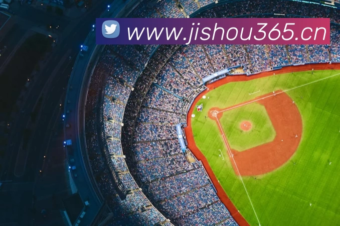 世界杯官方网络平台平台生态图